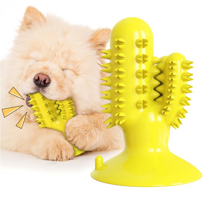 Kaktus-Form-Zahn-Reinigungs-Schoßhund-Biss Toy With Customized Service