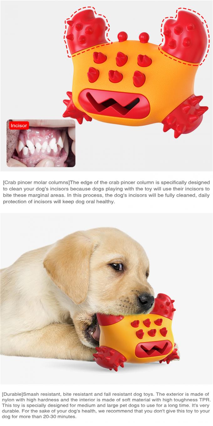 Haustier Multifunktions-zahnbürsten-molarer Biss-Ton Tpr schützender molarer Reinigungs, derspaß-Hundespielzeug kaut