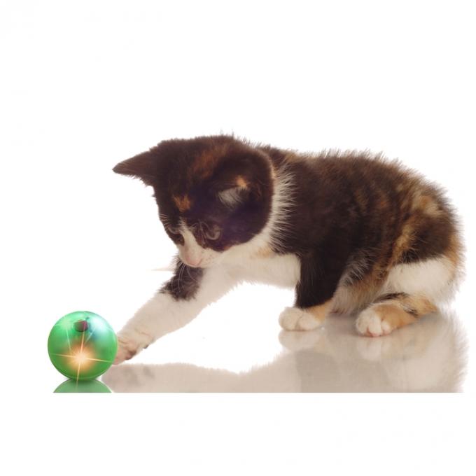 Blinklicht-wechselwirkender Rollen-Ball Cat Teaser Toys Hollow Sound für Cat Playing