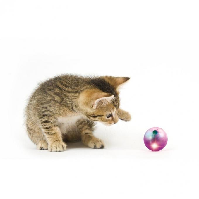 Blinklicht-wechselwirkender Rollen-Ball Cat Teaser Toys Hollow Sound für Cat Playing