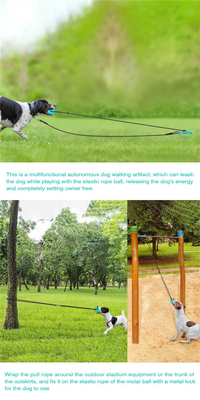 Reinigungszahn-dauerhaftes dreiteiliges Satz-Extrahaustier-wechselwirkender kauender beißender Hund Toy With Rope